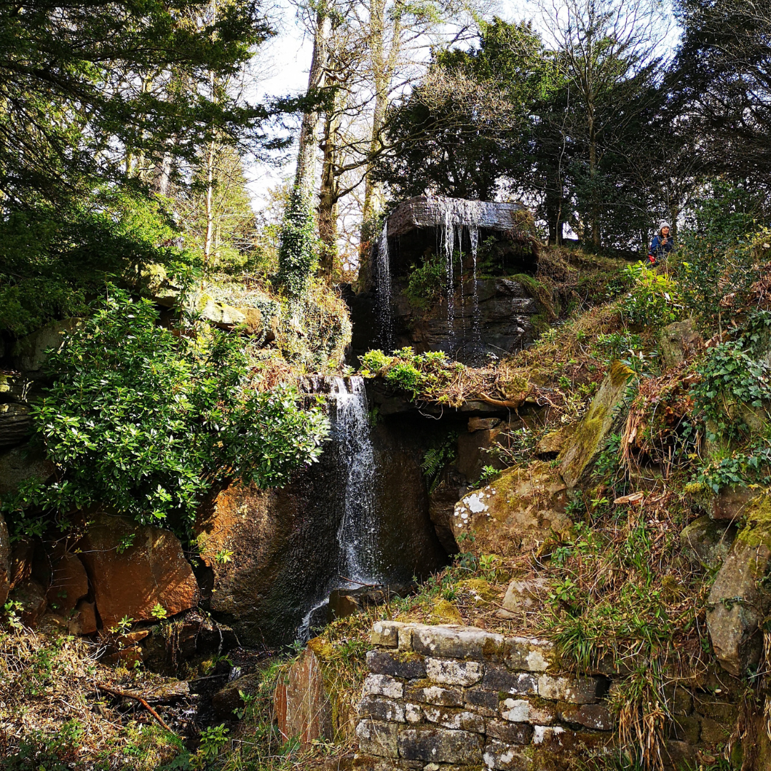 Glimmer Hunting in Nature