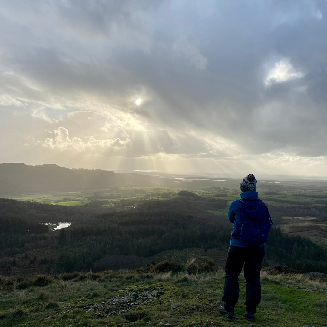 Understanding Seasonal Affective Disorder