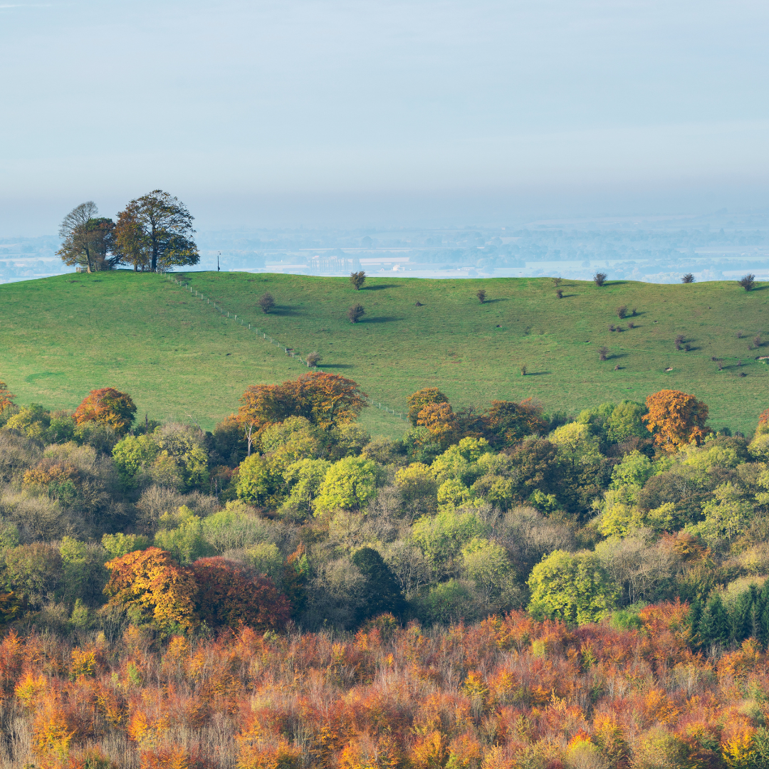Hambleden Valley Wellbeing Walk 2025