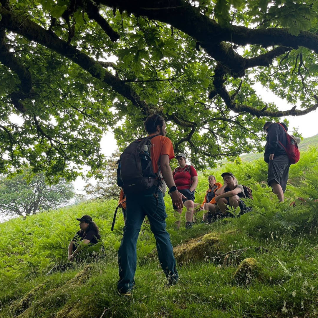 mindfulness session - group seated under tree Dartmoor