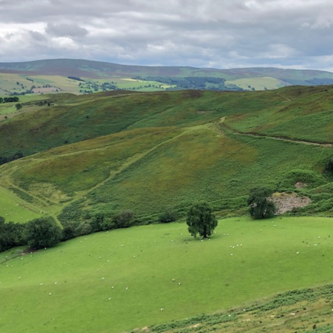 green hillsides north wales
