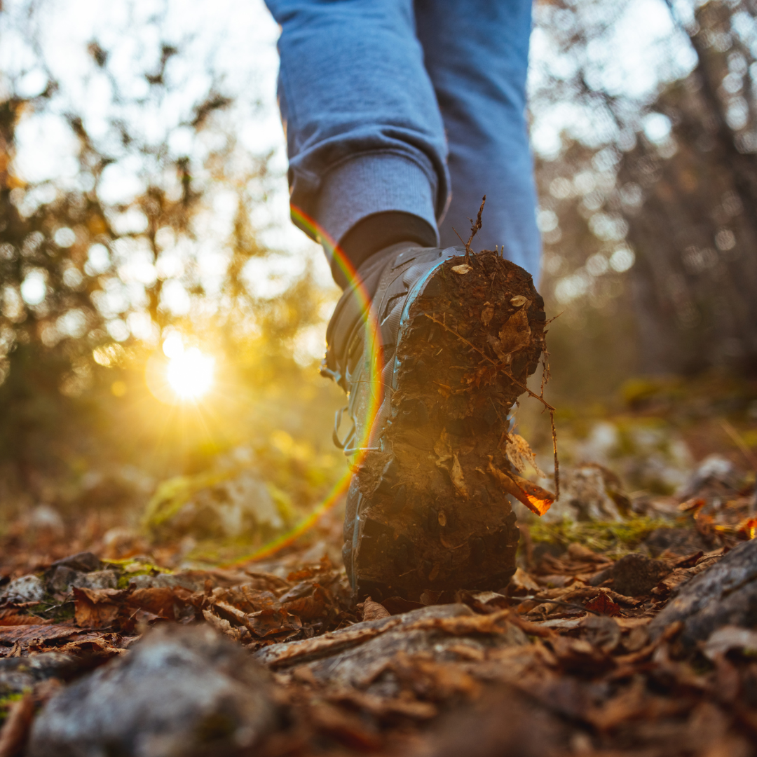 Finding Peace in Nature: Walking for Wellbeing During Ramadan