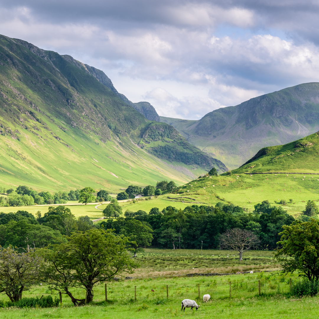 Green valley with mountains and sheep under a cloudy sky
