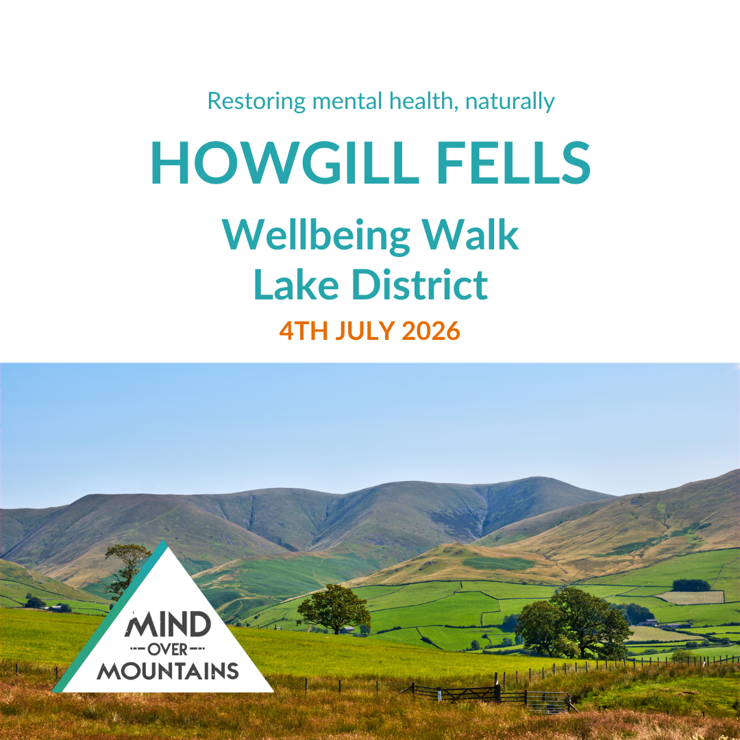 Promotional poster for Howgill Fells Wellbeing Walk in Lake District with scenic view and event details.