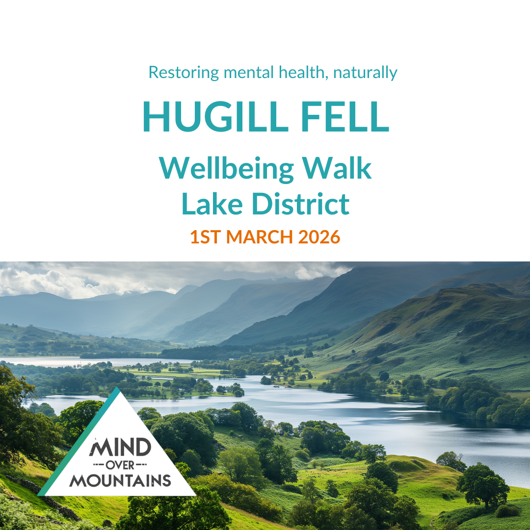 Promotional poster for Hugill Fell Wellbeing Walk in Lake District with scenic view and event details.