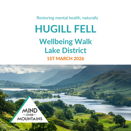 Promotional poster for Hugill Fell Wellbeing Walk in Lake District with scenic view and event details.