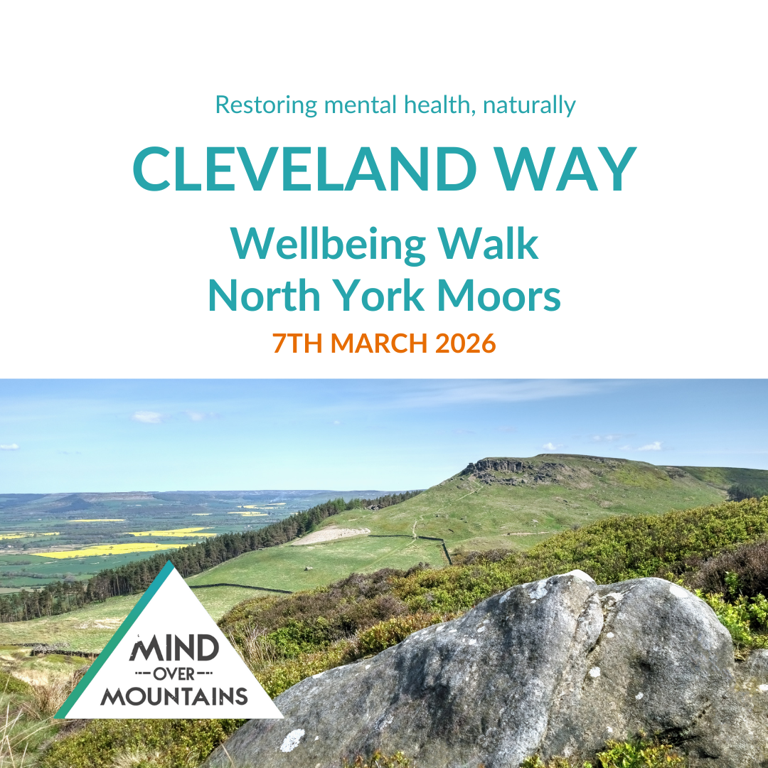 Promotional poster for Cleveland Way Wellbeing Walk with a scenic view of North York Moors.