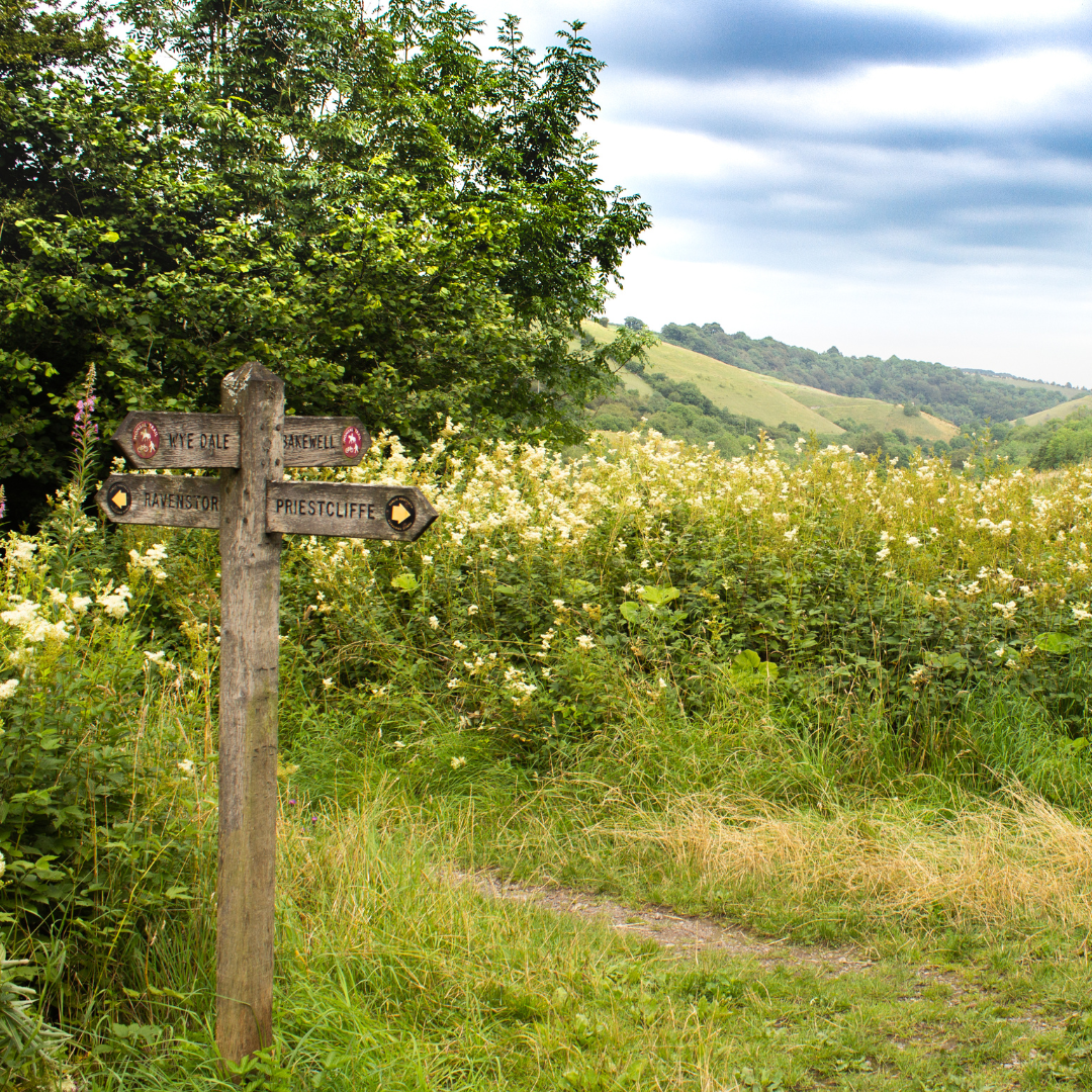 Wooden footpath signpost pointing towards Wye Dale, Bakewell, Ravenstor and Priestcliffe, surrounded by wildflowers and green hills in the Peak District.