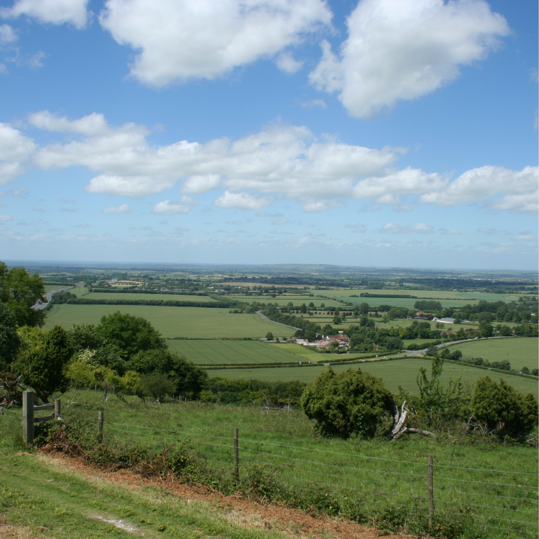 Wendover (Summer) Wellbeing Walk 2025