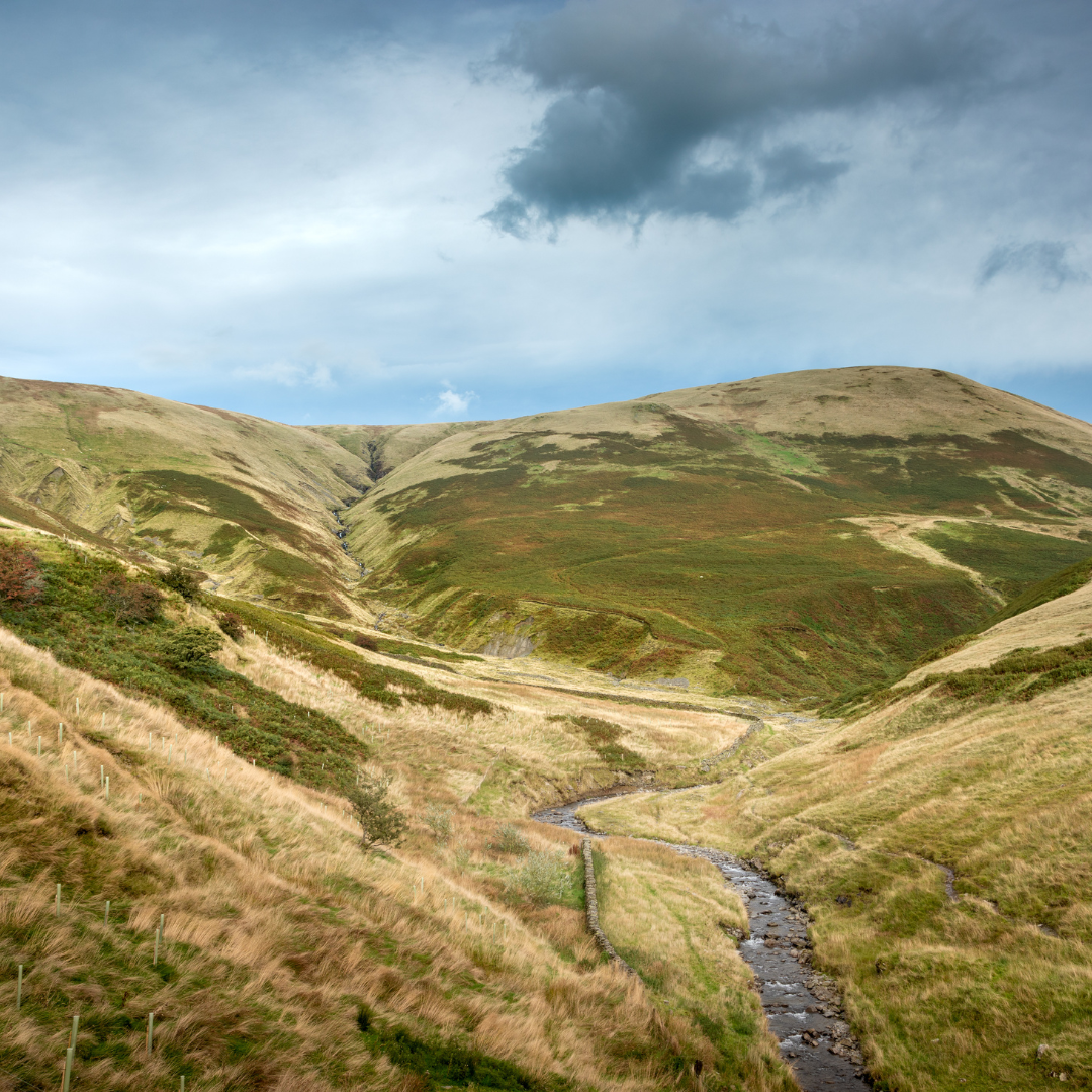 Hilly landscape with a stream winding through it under a cloudy sky.