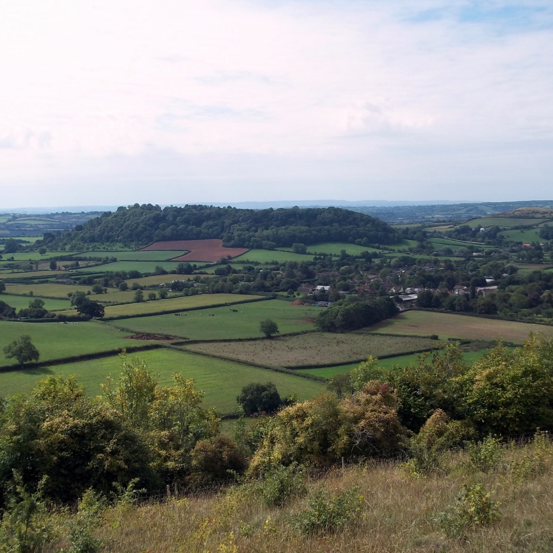 Scenic view of a rural landscape with fields and trees under a clear sky.