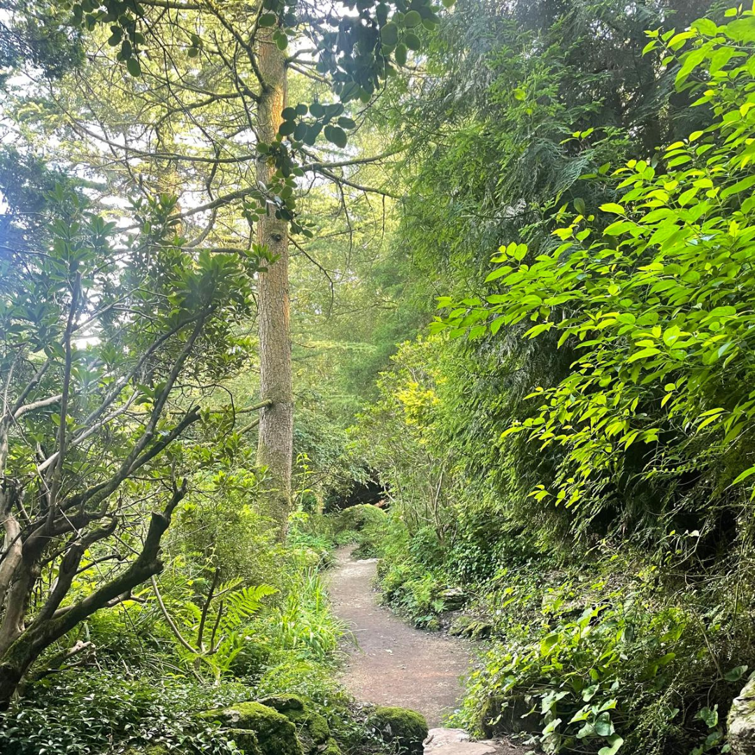 Wye Valley Wellbeing Walk 2025