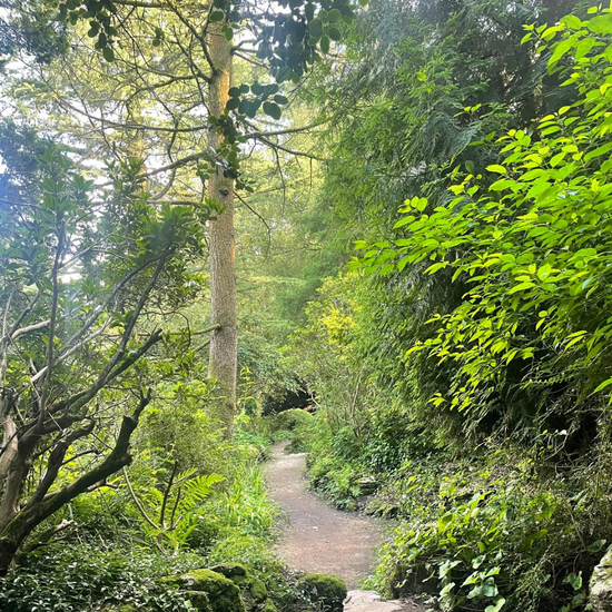 Wye Valley Wellbeing Walk 2025