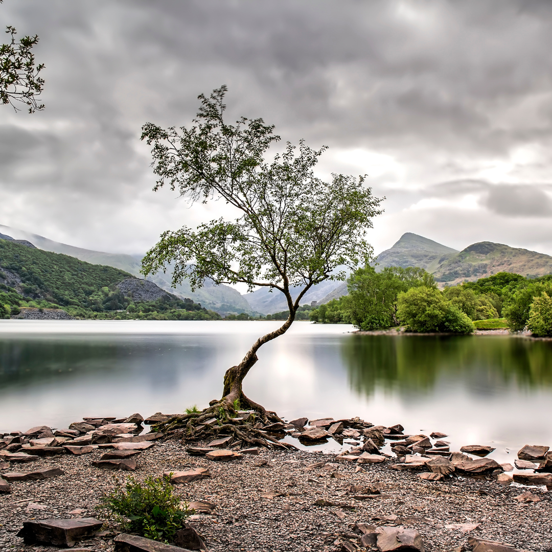 Welsh Ambulance Services Wellbeing Walk North Wales 2025 (28th September) - Private Event