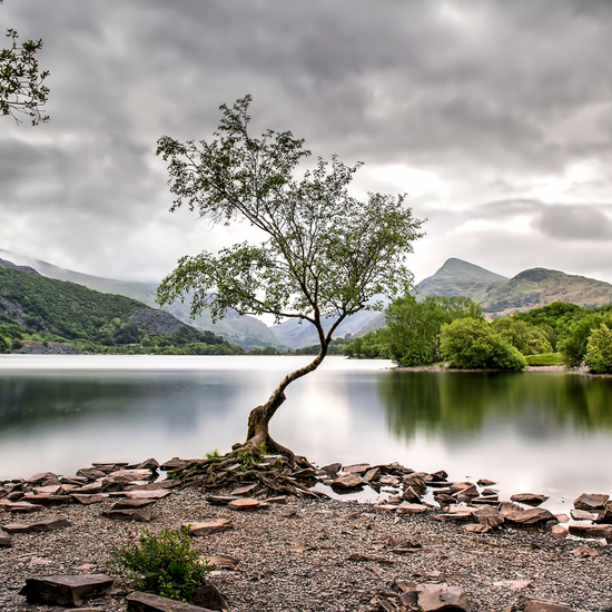 Welsh Ambulance Services Wellbeing Walk North Wales 2025 (28th September) - Private Event
