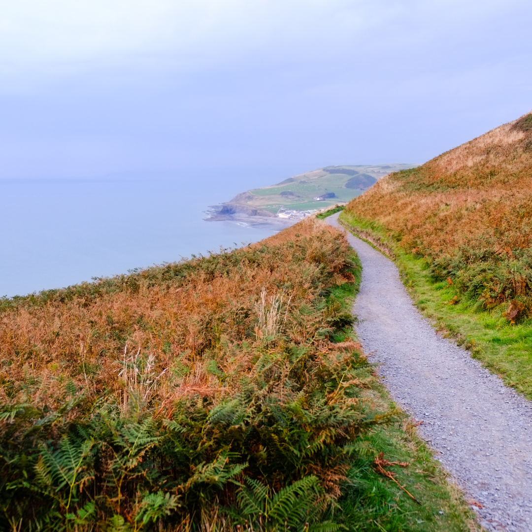Porthclais Wellbeing Walk 2026