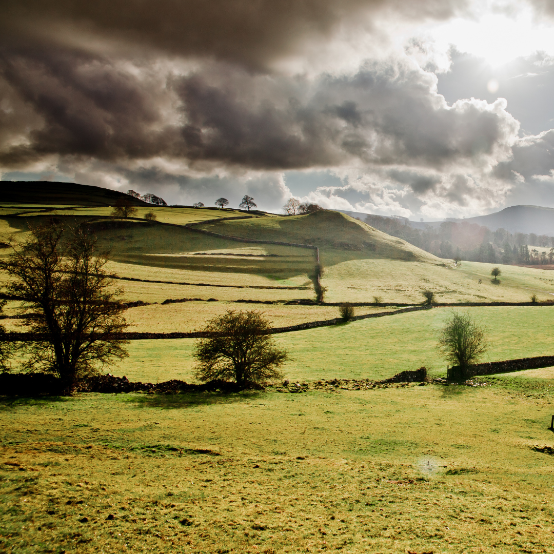 Hartington Wellbeing Walk 2026