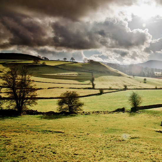 Hartington Wellbeing Walk 2026