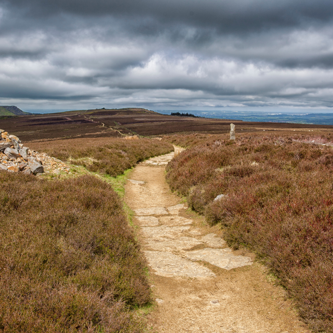 Winding path through a moorland landscape with heather and a cloudy sky.