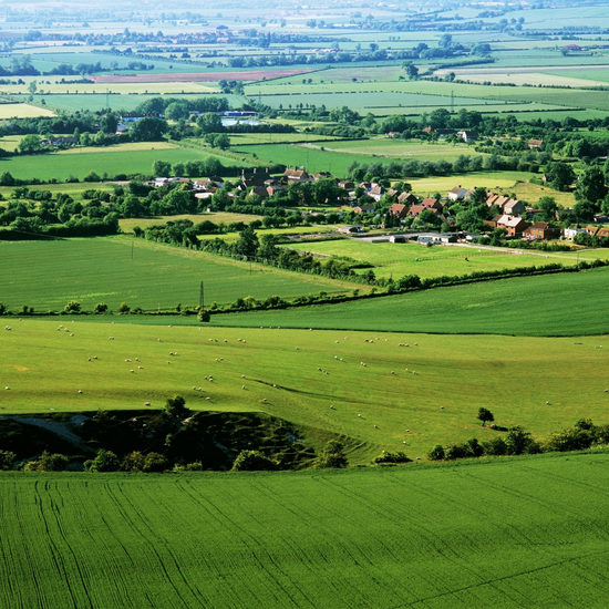 Aerial view of a rural landscape with green fields and scattered houses.