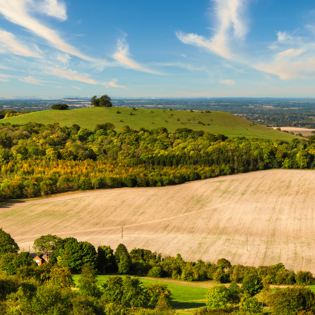 Aerial view of a landscape with green fields, trees, and a blue sky.