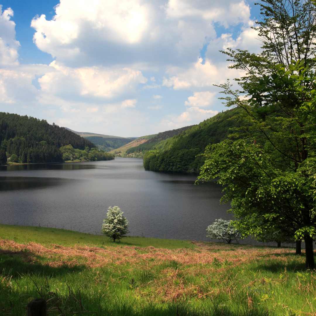 Ladybower Reservoir Wellbeing Walk 2026