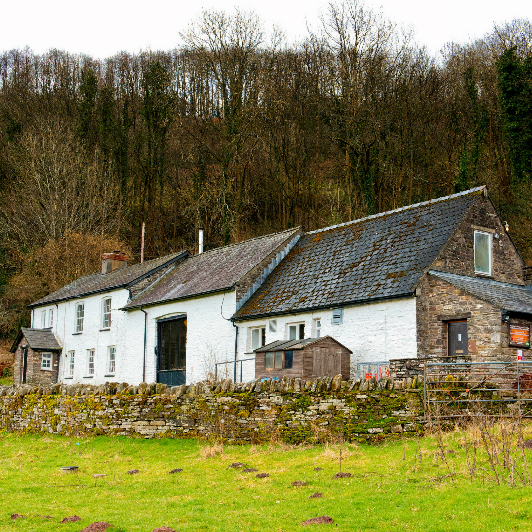 Rural scene with a white building and stone wall in a wooded area
