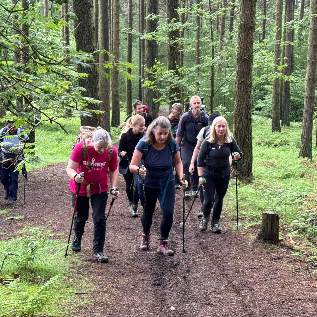A group of people hiking on a forest trail, with the central focus on a woman in a navy blue t-shirt and black leggings walking with trekking poles. Other hikers in a pink shirt and a black hoodie are visible behind her in a wooded setting with tall trees and green ferns.