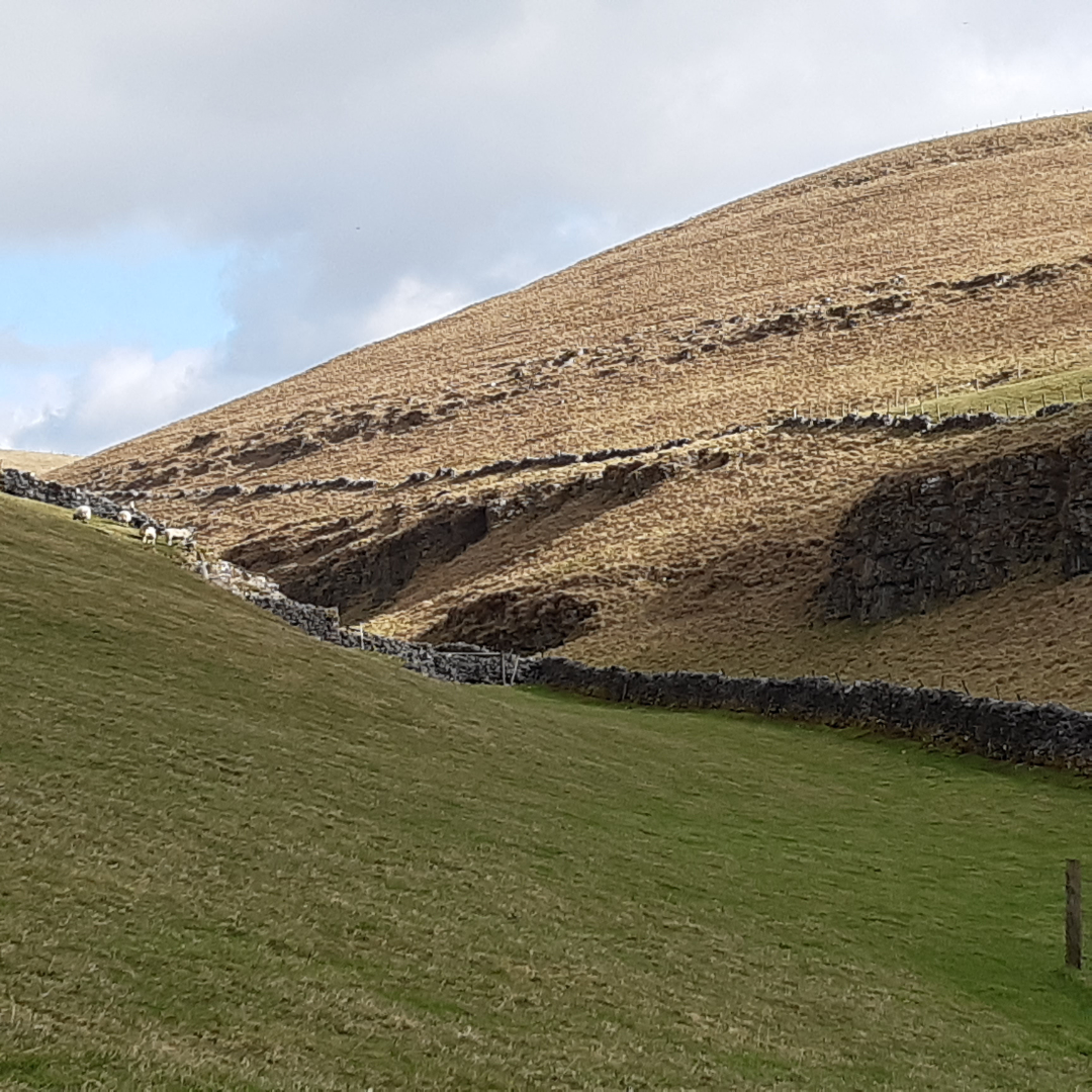 Lathkill Dale Wellbeing Walk 2025