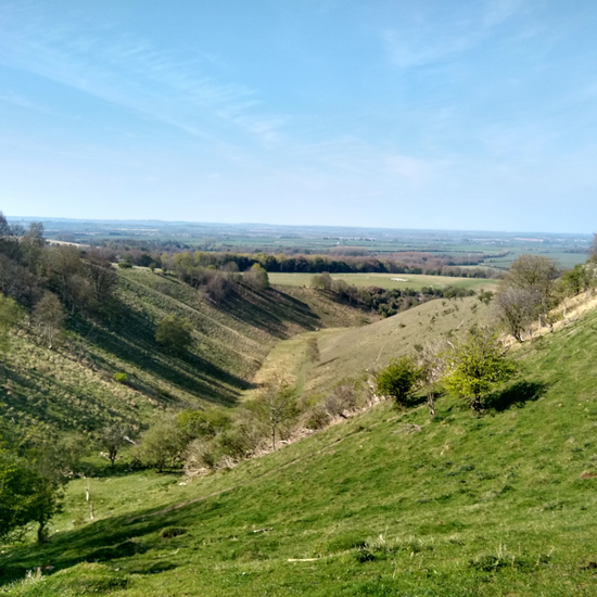 Wendover (Summer) Wellbeing Walk 2025