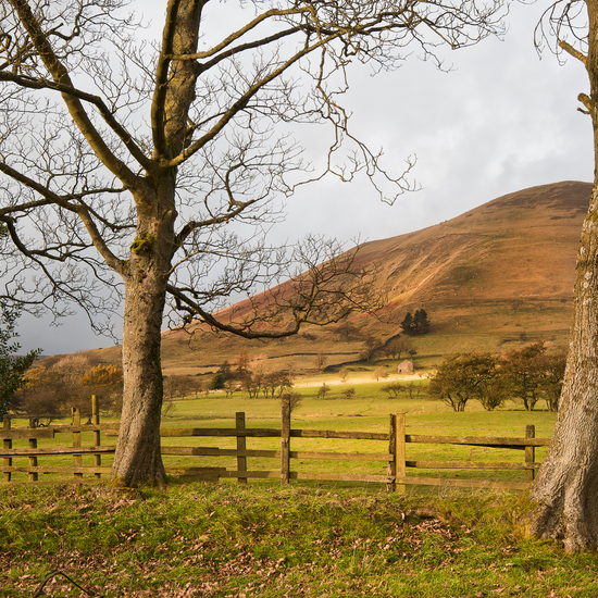 Rural landscape with wooden fence, trees, and rolling hills.