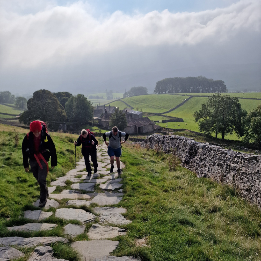 Three hikers on a stone path in a scenic landscape with green fields and trees.