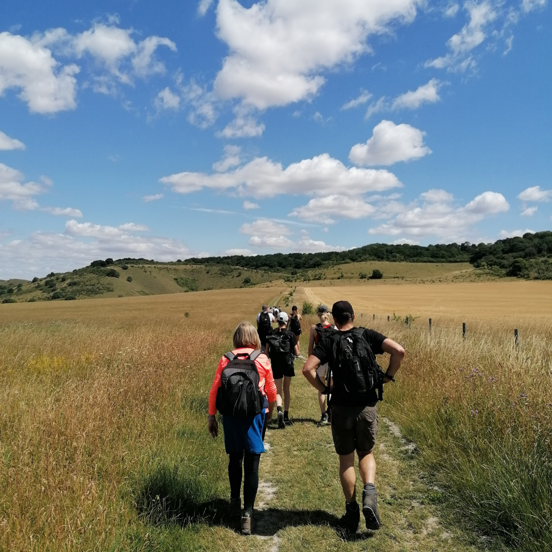 Group of hikers walking on a path through a field with a blue sky above