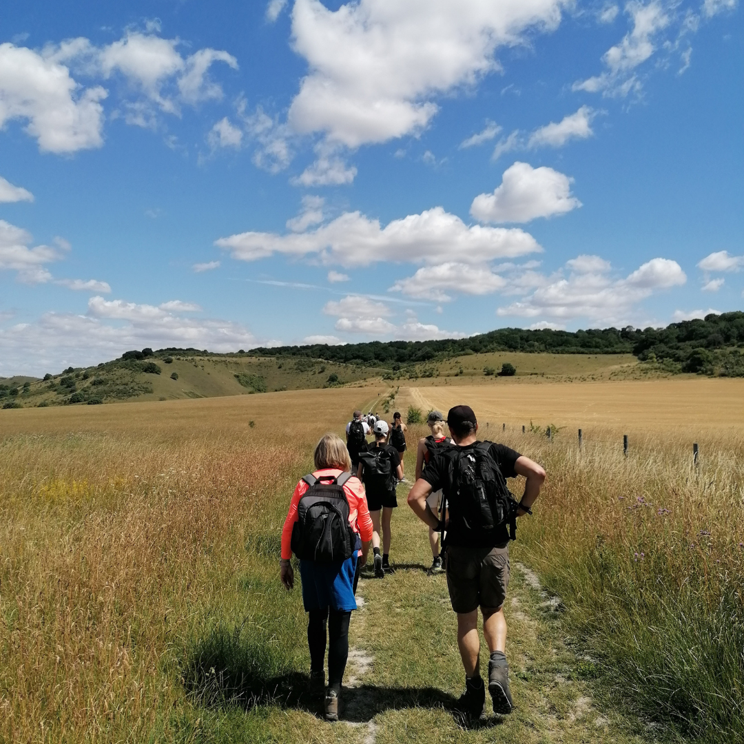 Group of hikers walking on a path through a field with a blue sky above