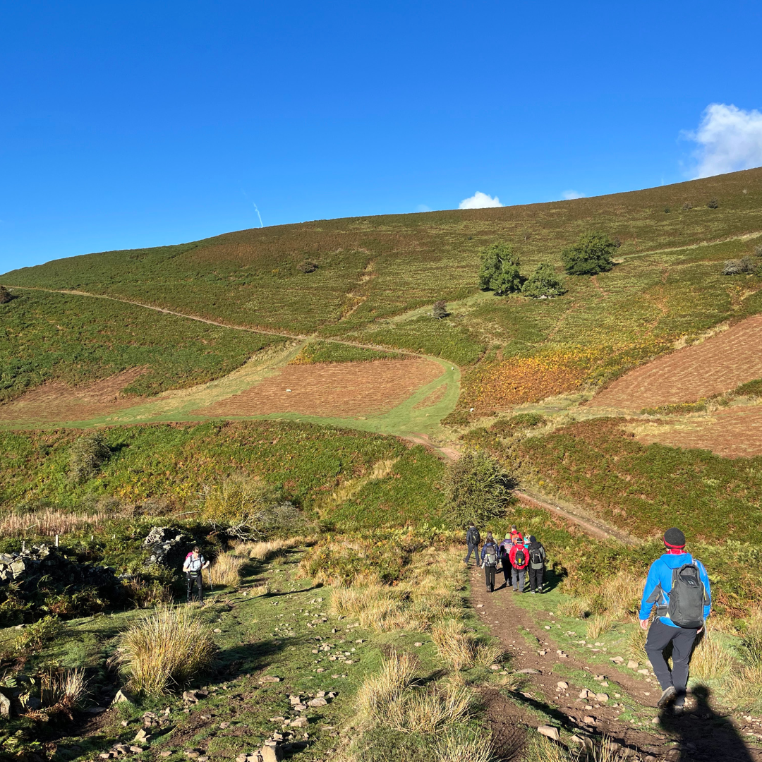 Slopping hills with hiking group walking down trail