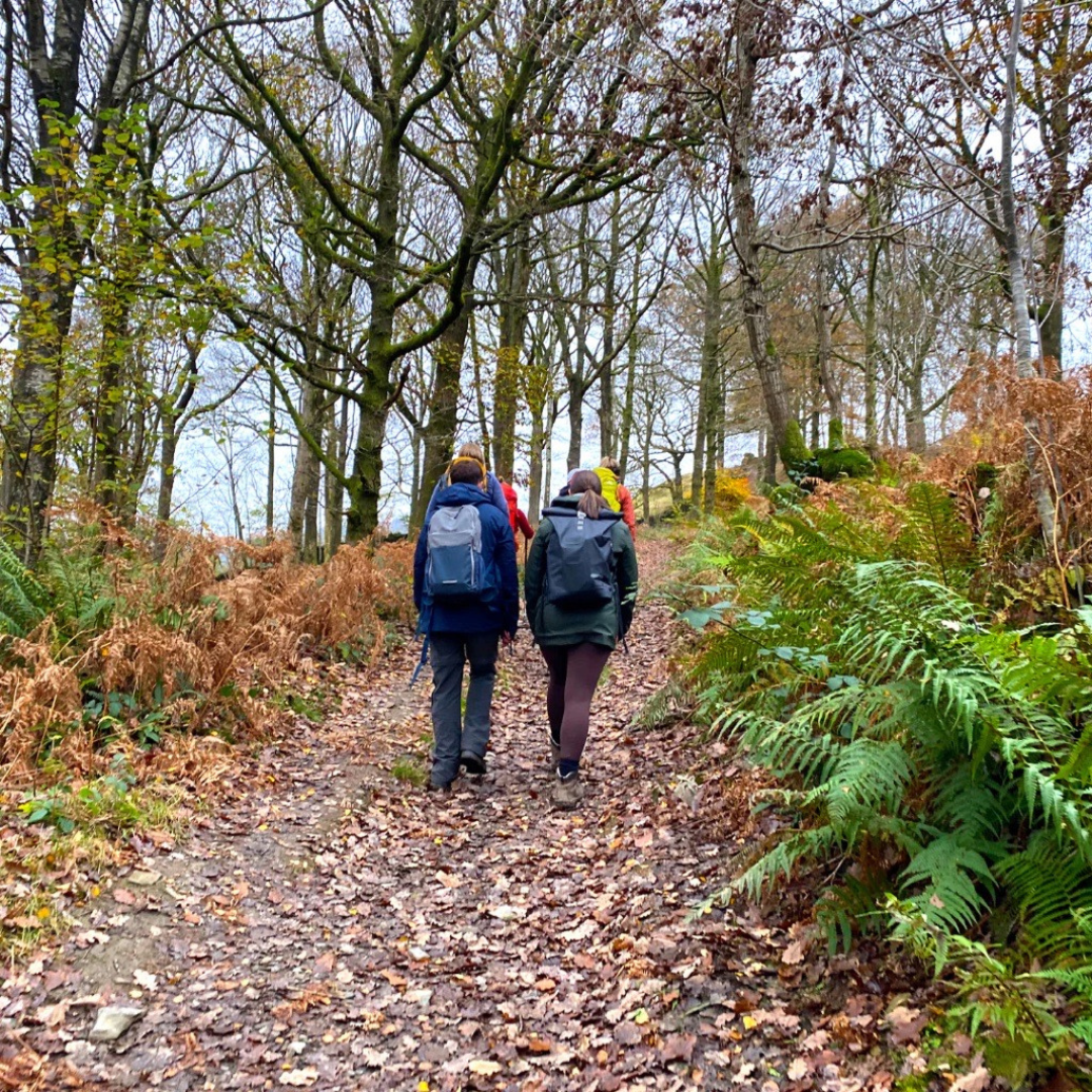 Two people hiking on a leaf-covered path through a forest with bare trees and ferns.