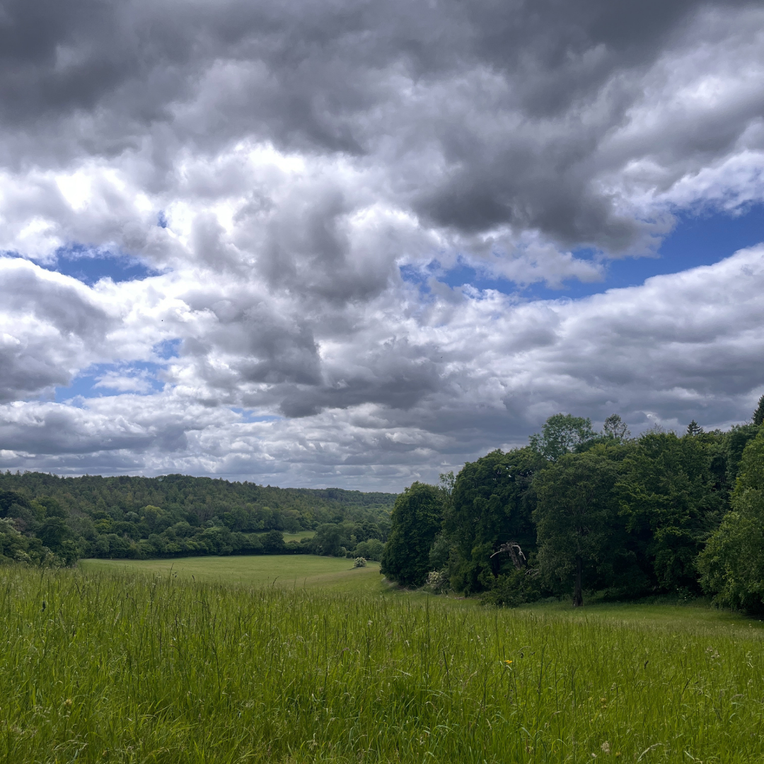 Green field with trees under a cloudy sky