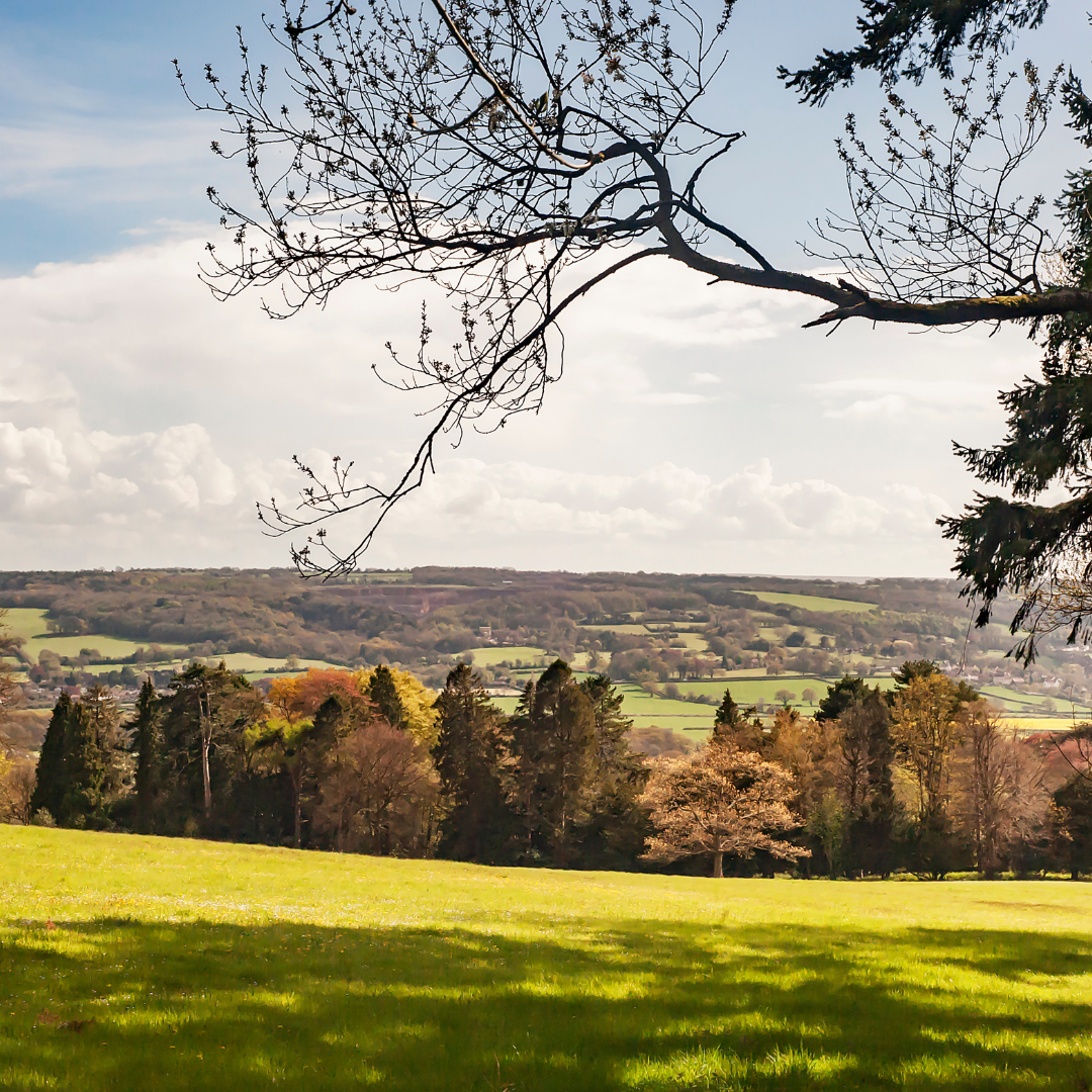View at Chatsworth House on Mind Over Mountains mental health walk