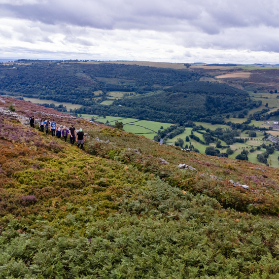 group hiking on path amongst bracken with hills beyond in north wales with mind over mountains