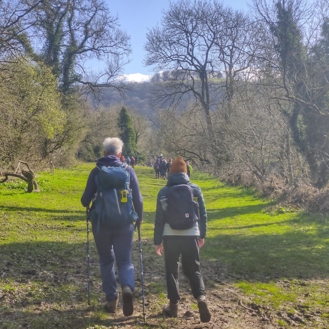 Burnham Beeches Wellbeing Walk 2025