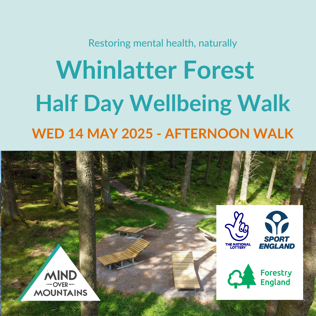 Whinlatter Forest Half Day Wellbeing Walk (Afternoon) 2025