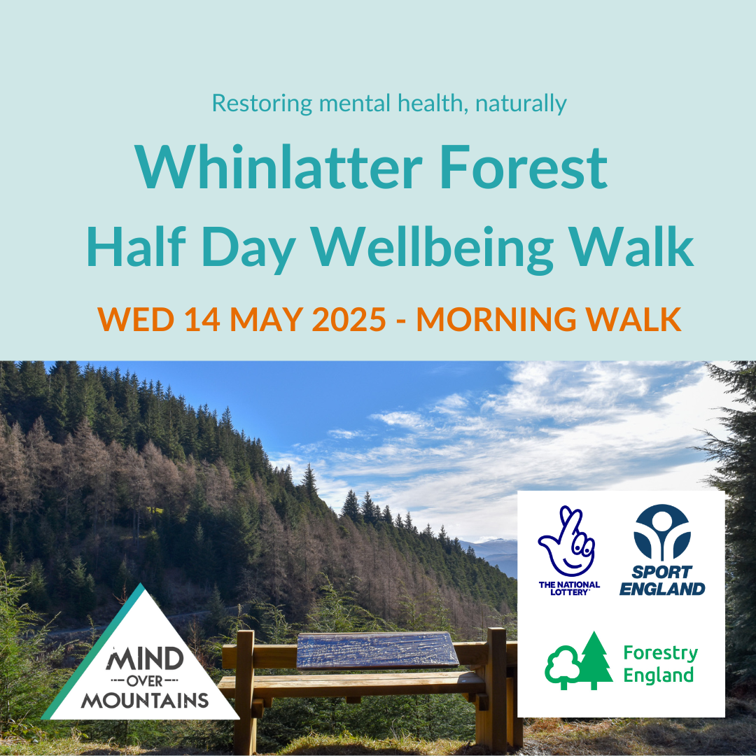 Whinlatter Forest Half Day Wellbeing Walk (Morning) 2025