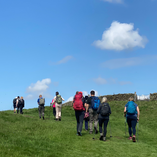 group of hikers walking and chatting