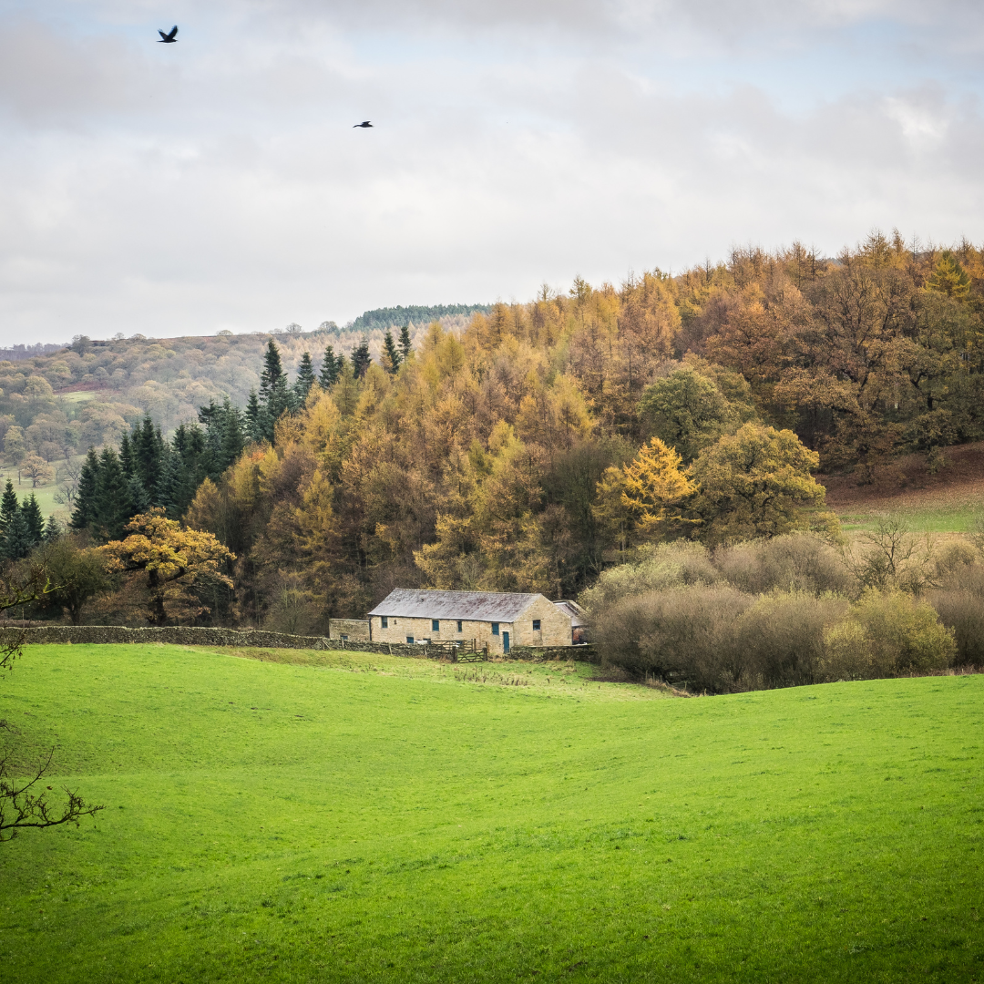 Green mountains with cabin on sloping hill