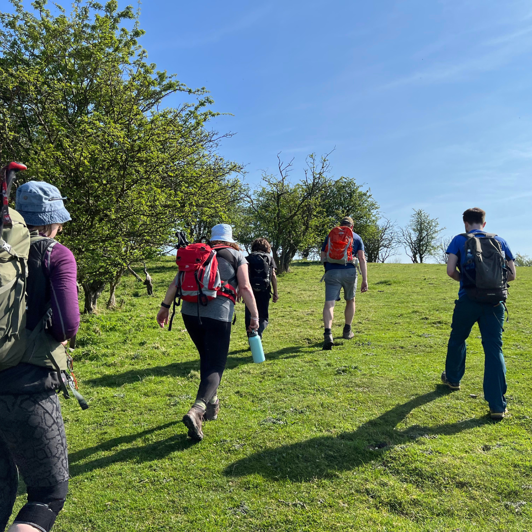 group of people hiking in field with trees