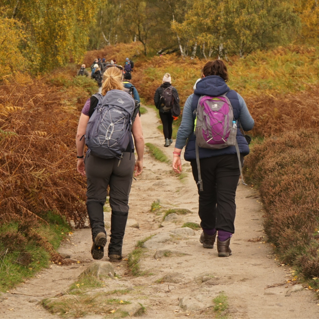 Burnham Beeches Wellbeing Walk 2025