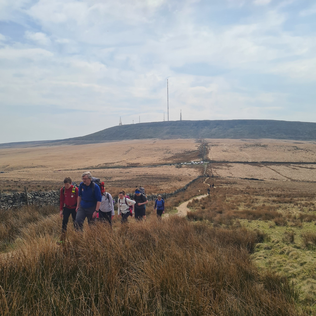 group of hikers on wellbeing wakl