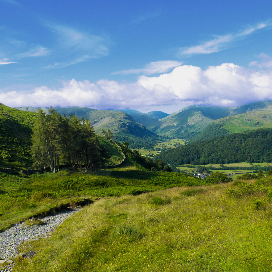 Borrowdale Wellbeing Walk 2025