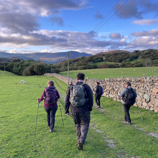 four people hiking in a field with mountains beyond